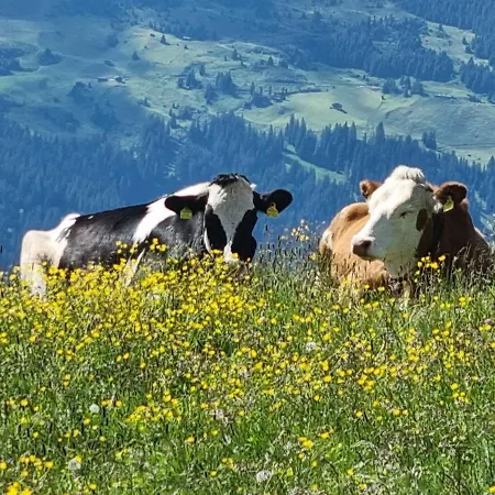 Veronikas Relax & Family Suite - Alpenluxus Collection