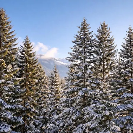 Veronikas Relax & Family Suite - Alpenluxus Collection Apartmán *