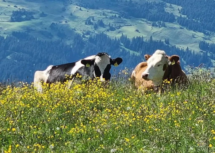 Veronikas Relax & Family - Alpenluxus Collection