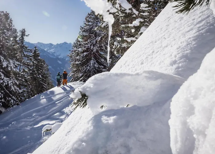 Apartment Veronikas Relax & Family - Alpenluxus Collection Fuegen