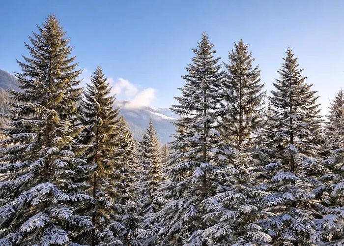 Veronikas Relax & Family - Alpenluxus Collection Apartment *